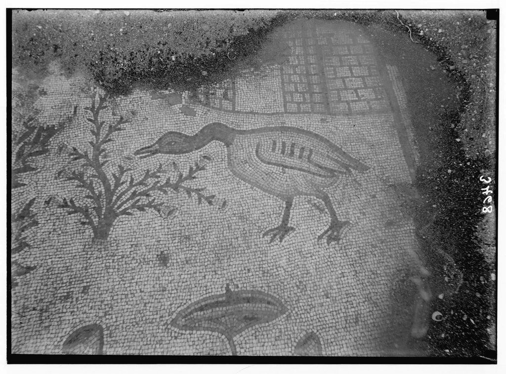 Overview of the nave and preserved historic elements.