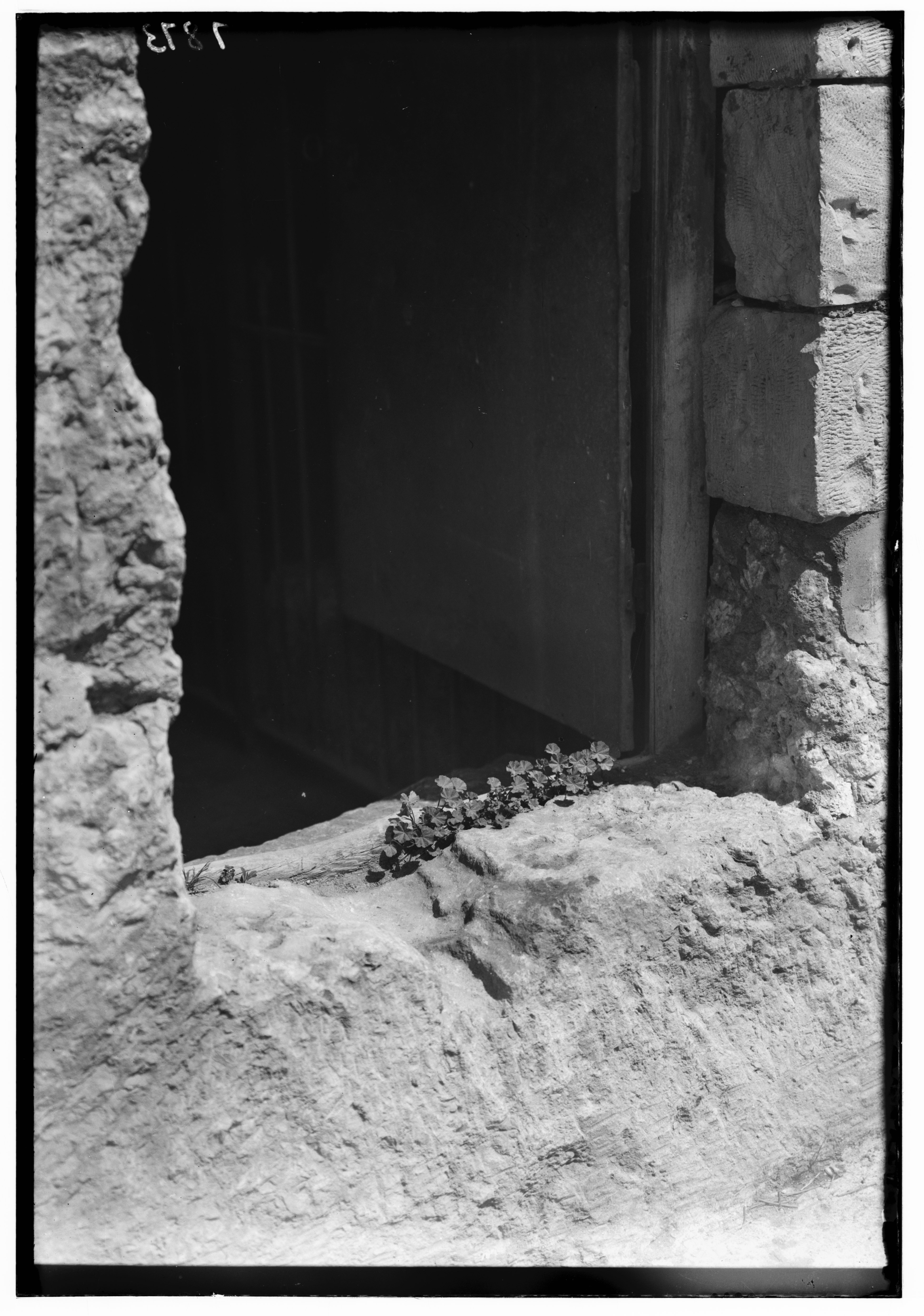 A place for reflection