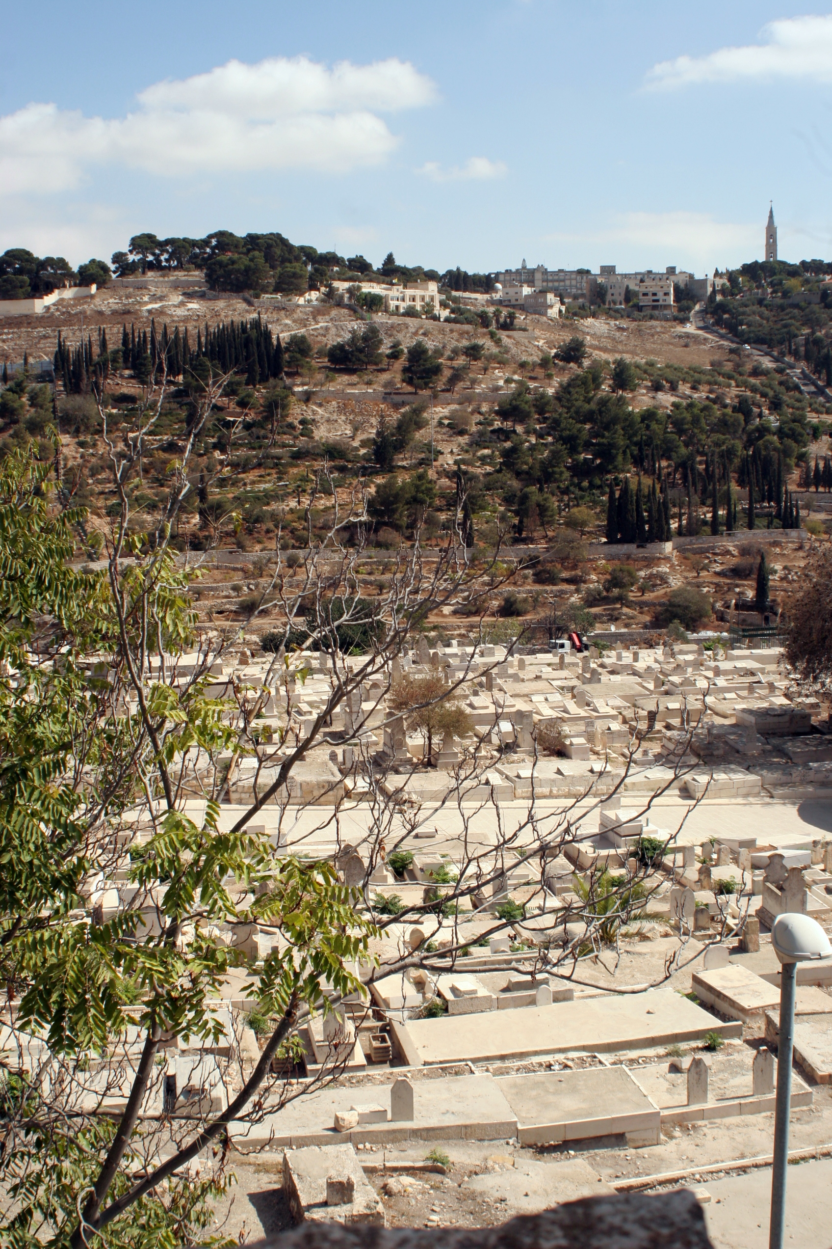 The Church of Mary Magdalene with its distinctive gilded onion domes.