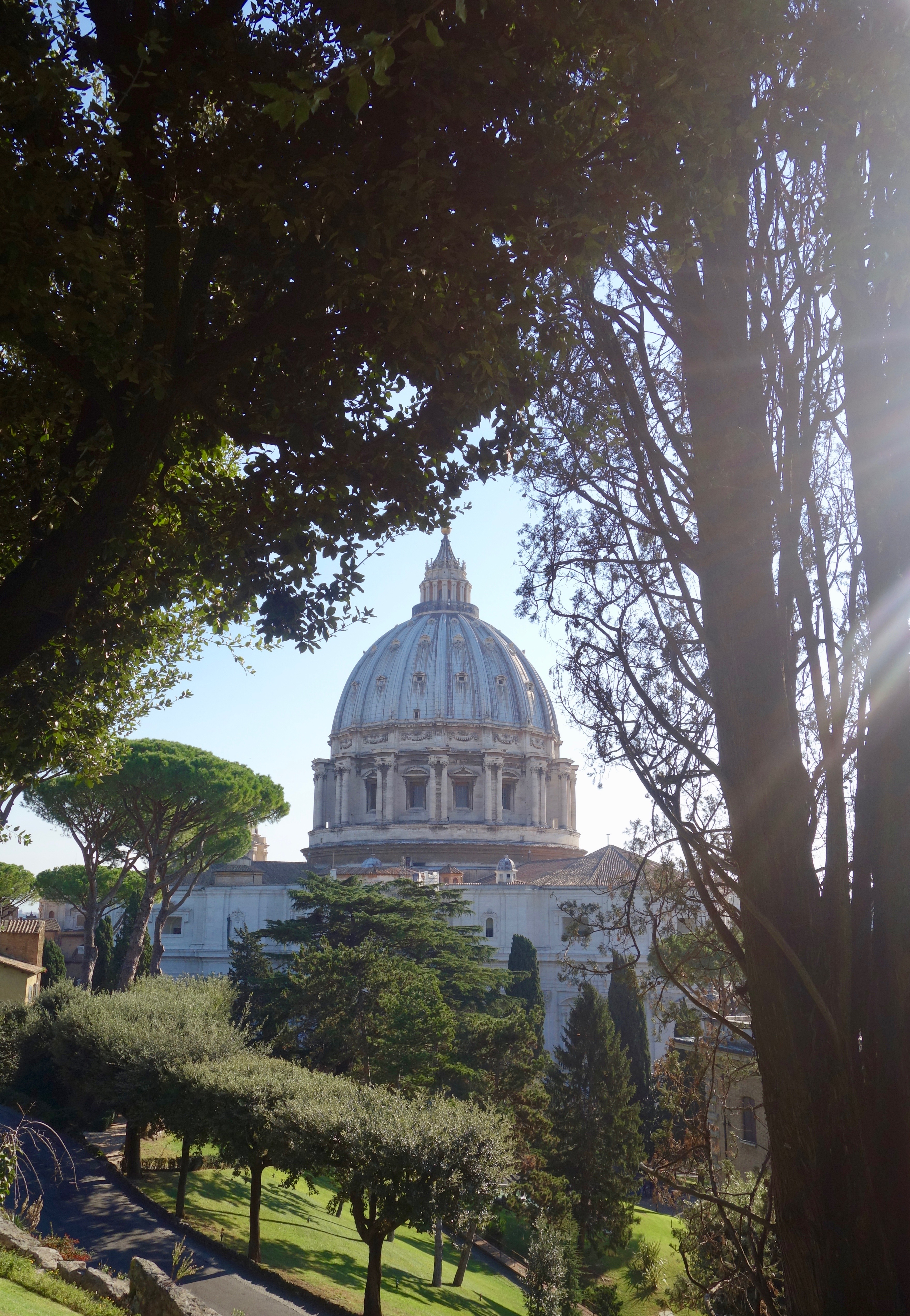 A view of the Vatican Gardens, a peaceful oasis within Vatican City.