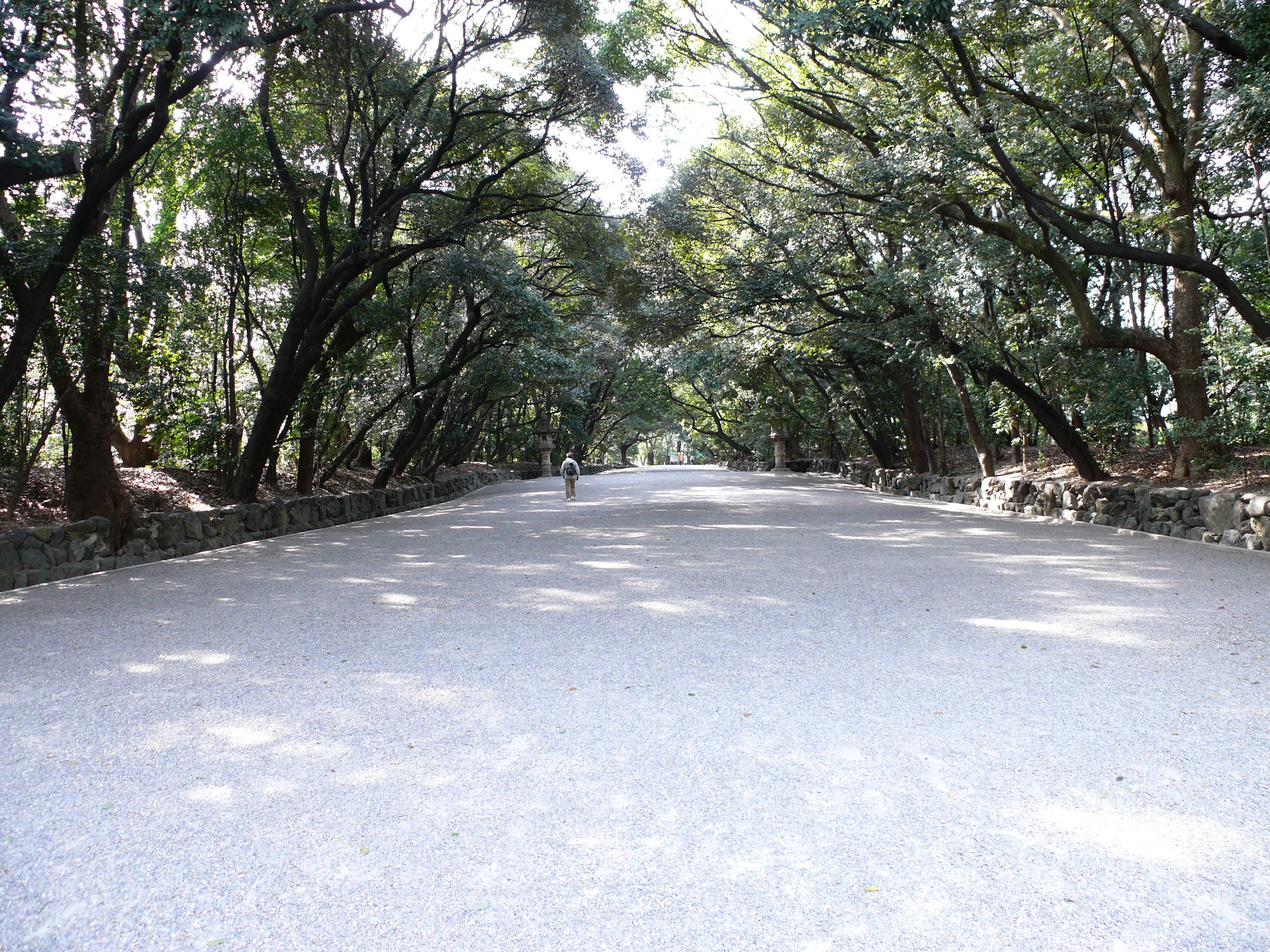 The serene path leading to the main hall, surrounded by lush greenery.