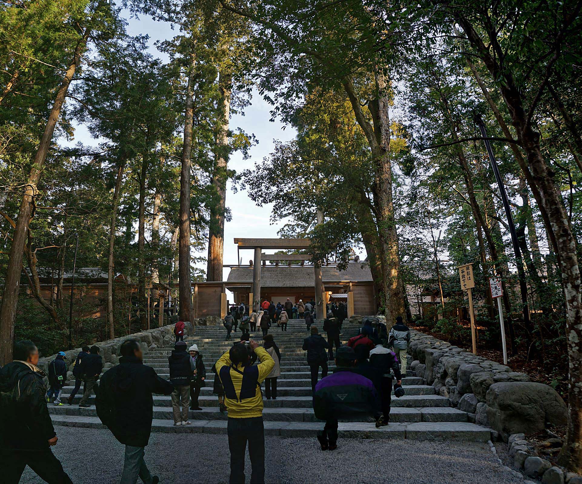 A serene pathway through the ancient forests surrounding the Naiku shrine.