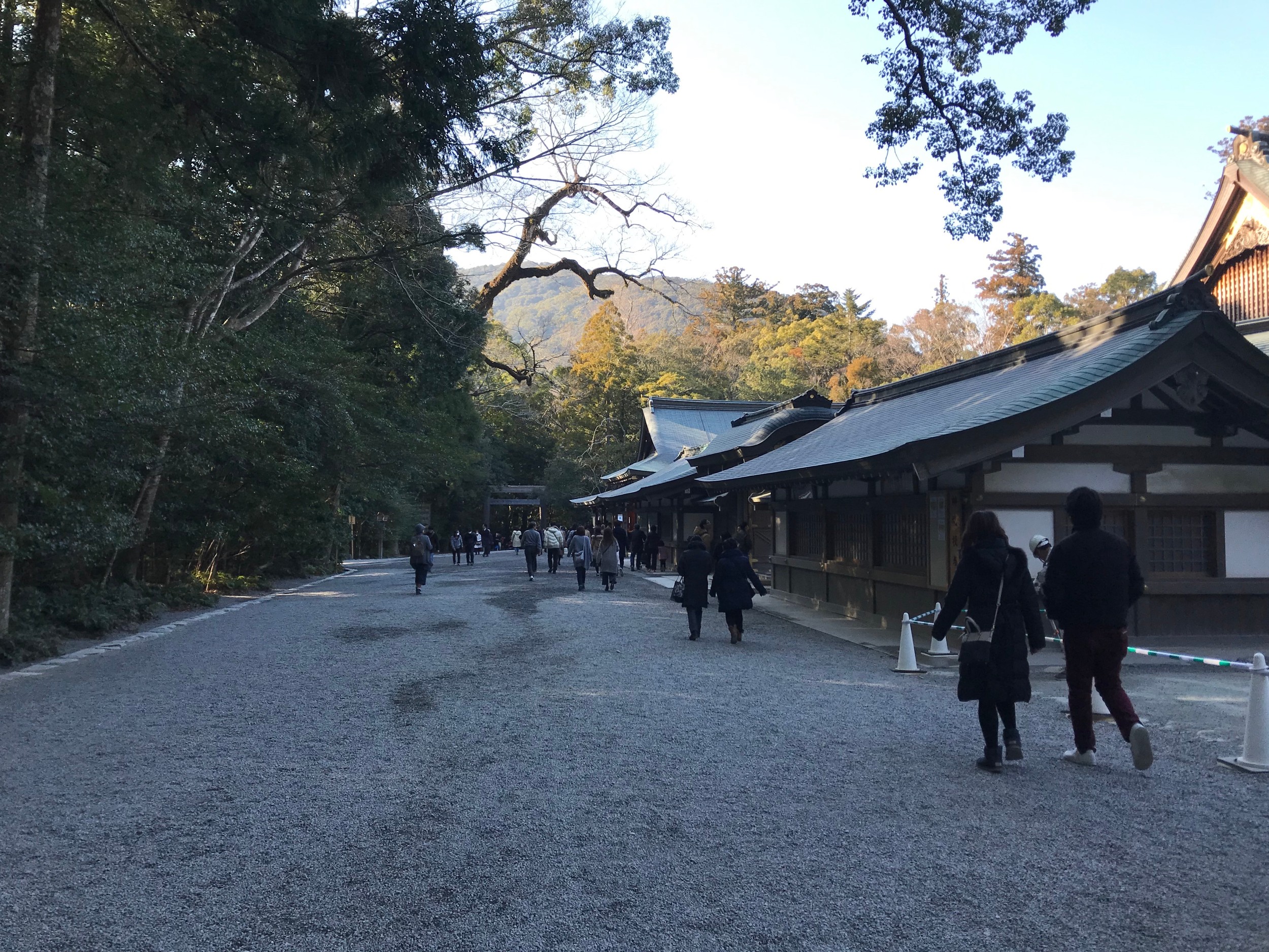 The traditional architecture of the shrine buildings, showcasing the simplicity and purity of Shinto design.