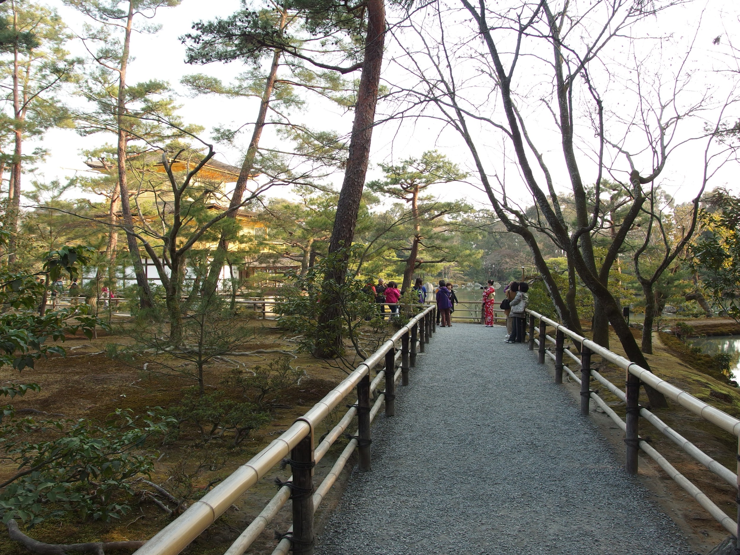 The temple surrounded by lush greenery.