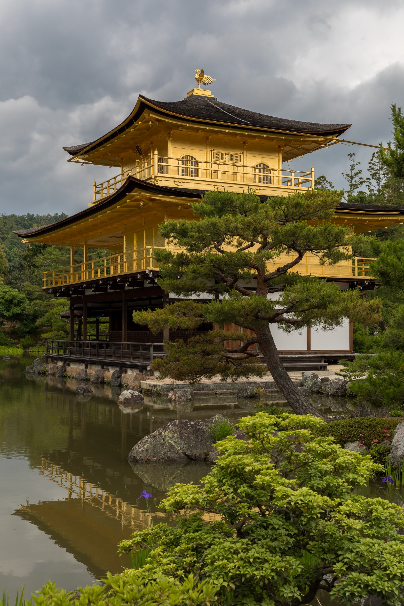 The golden phoenix on the roof.