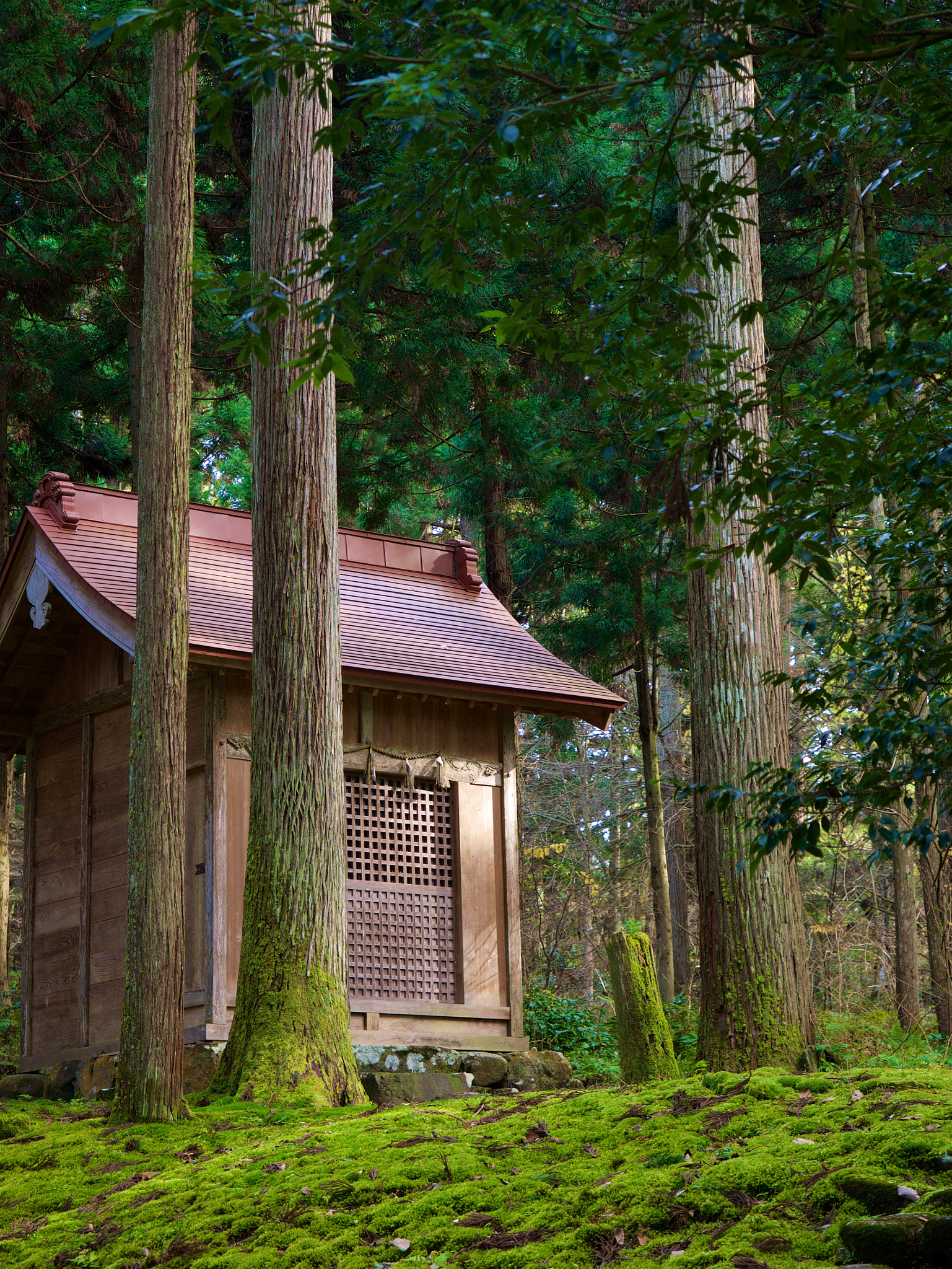The iconic five-story pagoda on Mount Haguro.