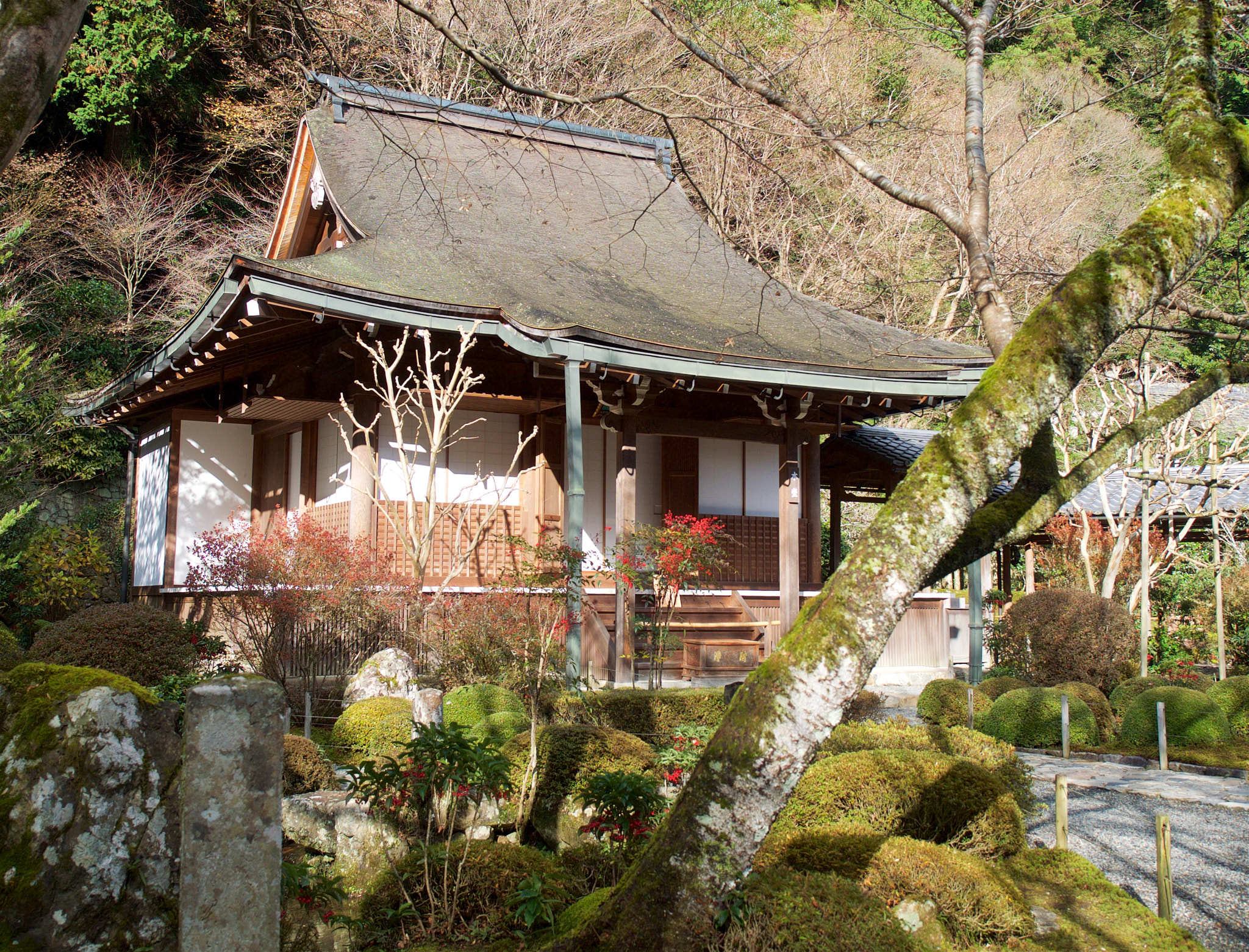 A serene landscape on Mount Gassan.
