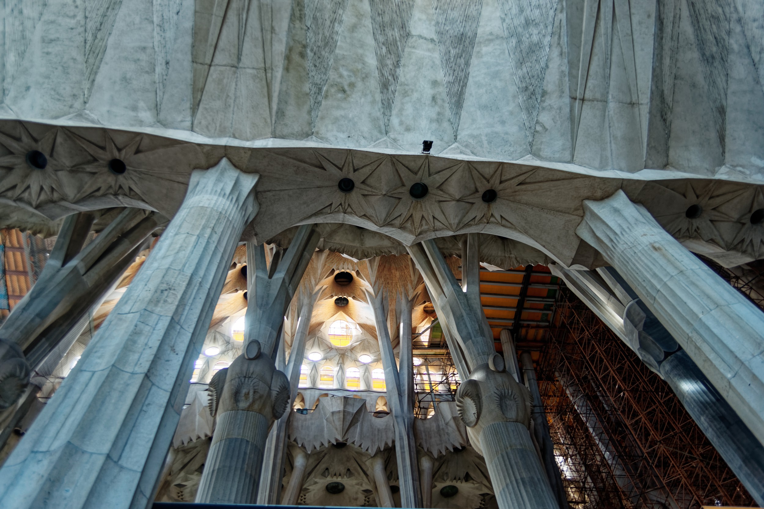 Central nave vault showing Gaudí's geometric branching columns