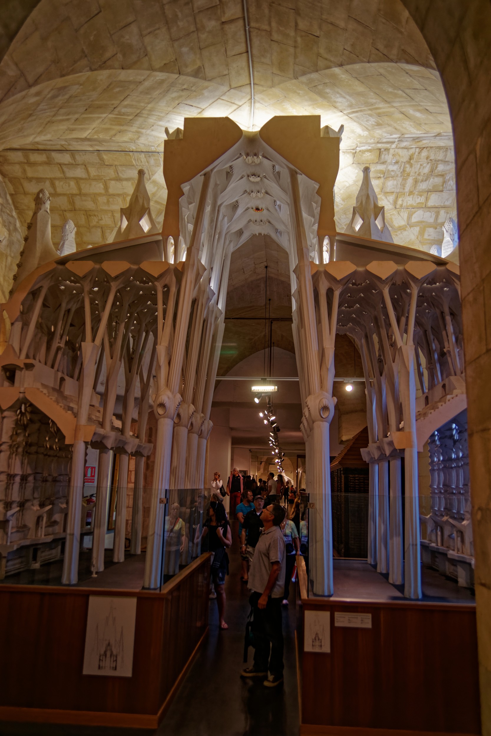 Gaudí's original plaster model of the nave vault structure
