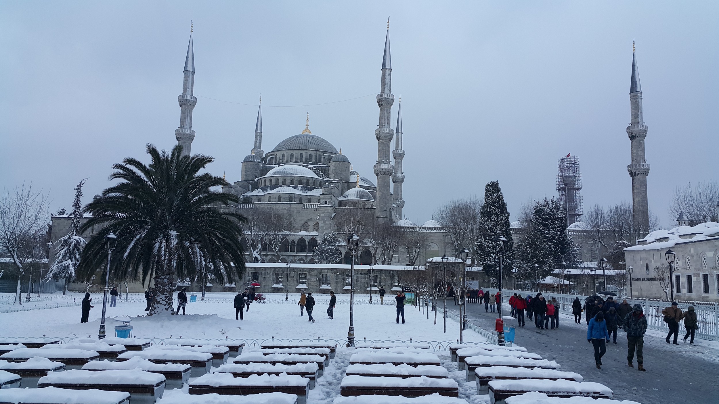The central dome, surrounded by semi-domes, showcasing the mosque's design.