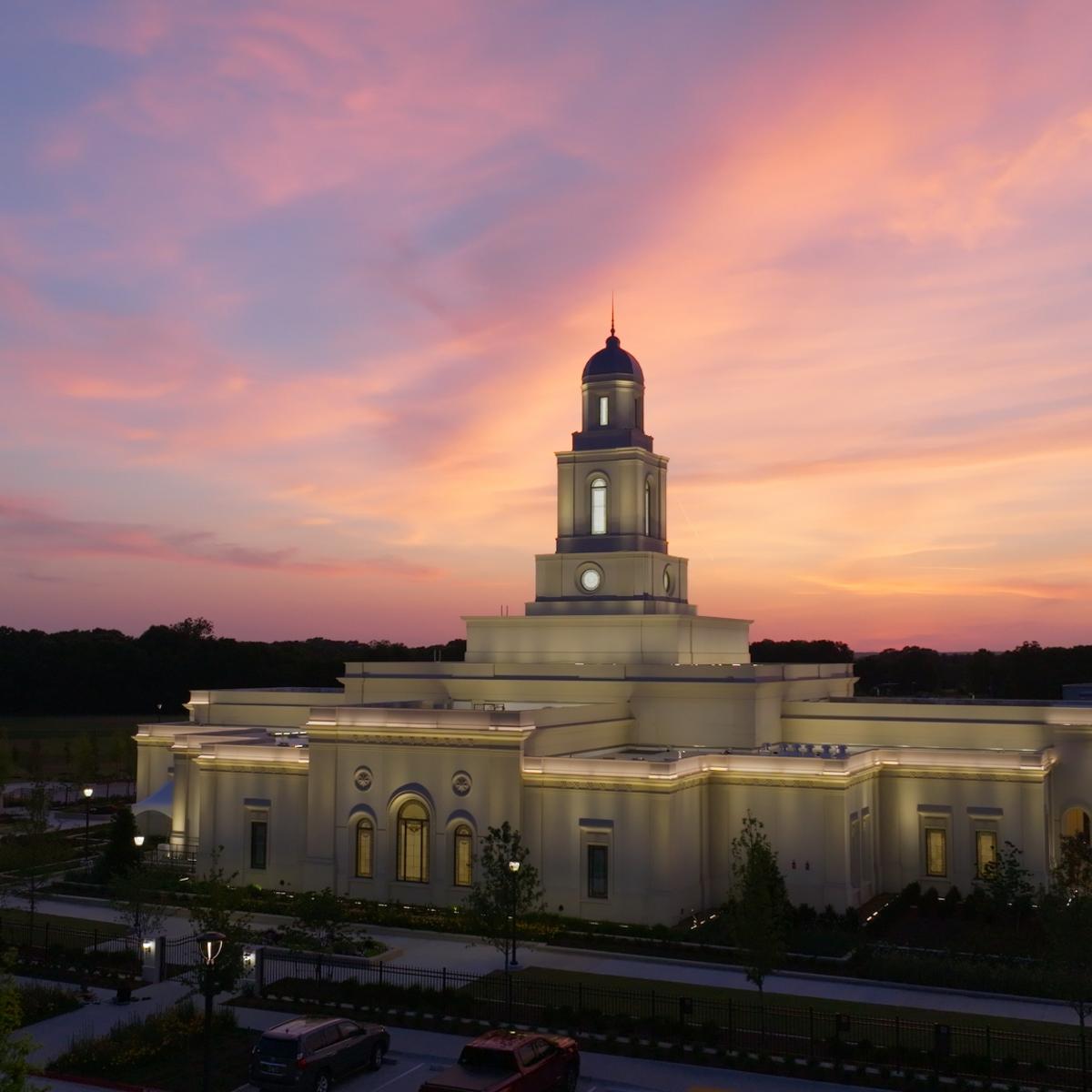 A serene view of the temple grounds during the spring season.