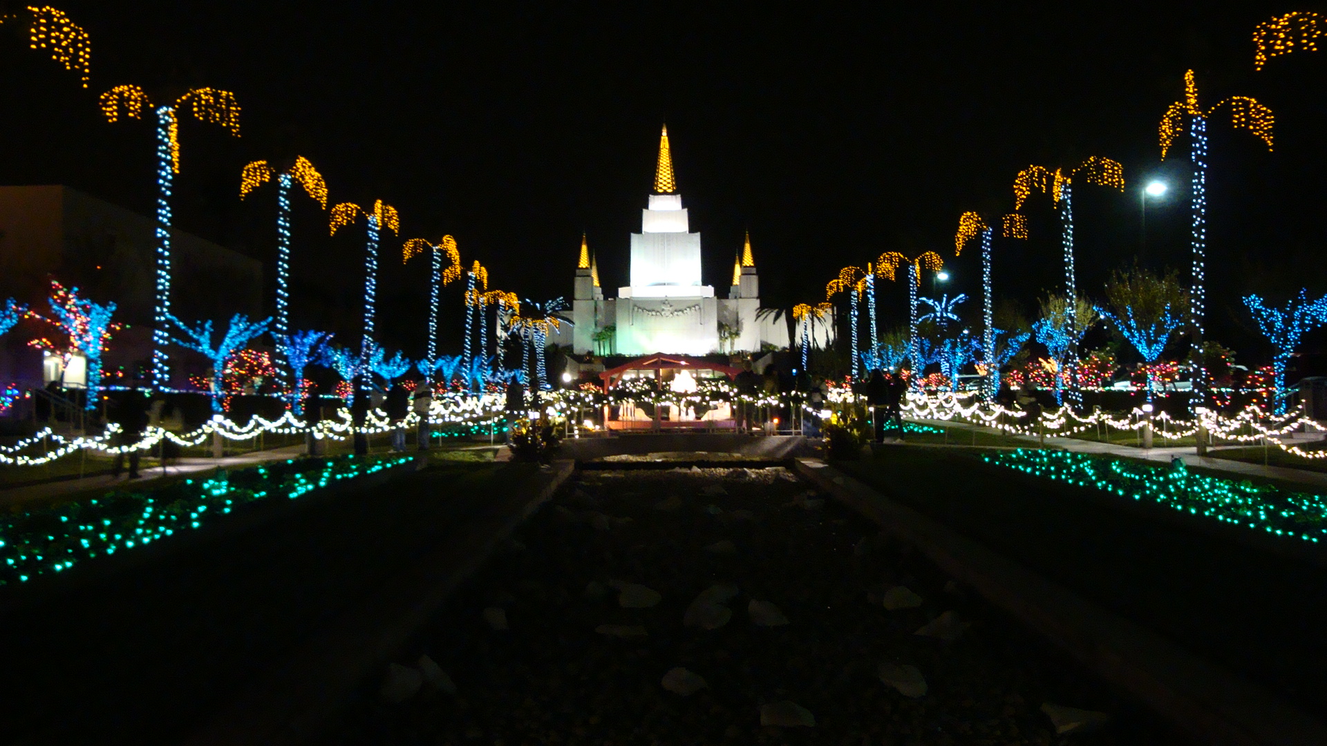 The temple grounds decorated with thousands of lights during the Christmas season.