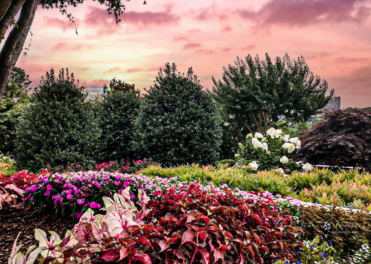 Aerial view of the 9.6-acre site