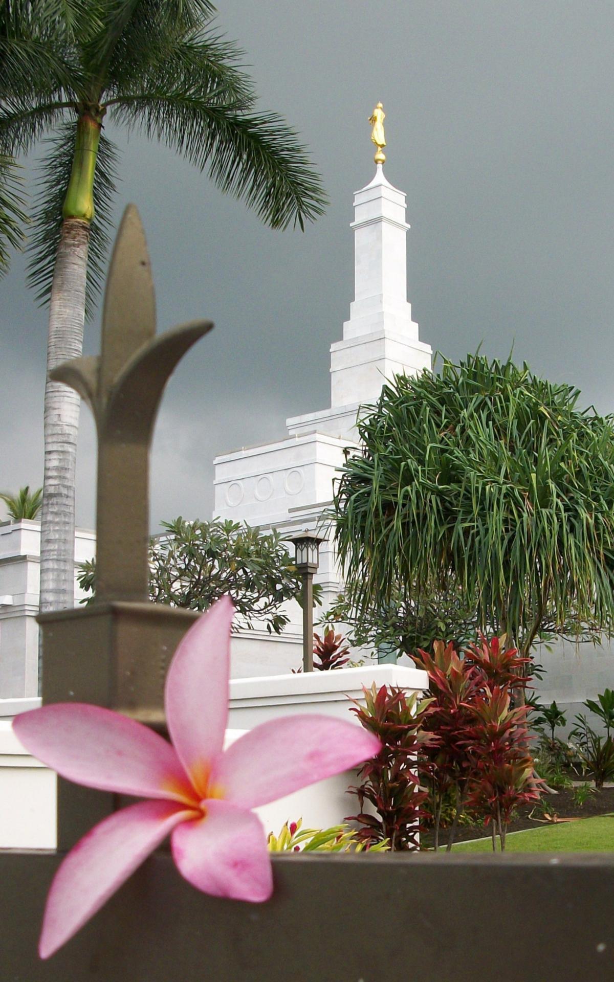 The temple's grounds are meticulously maintained, creating a beautiful environment.
