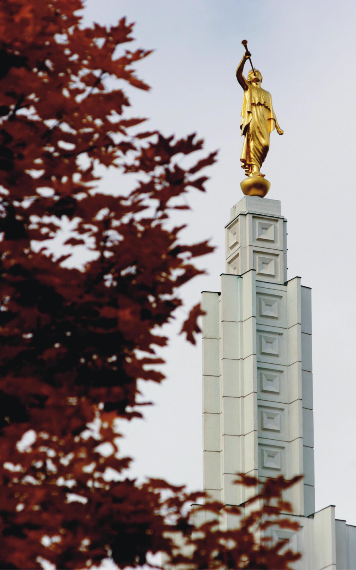 The temple reflecting in the water feature on the grounds.