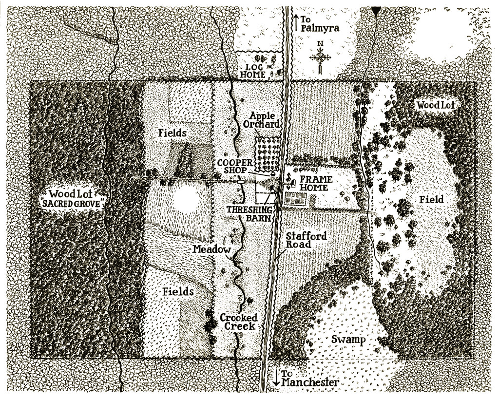 Sunlight filters through the trees in the Sacred Grove.
