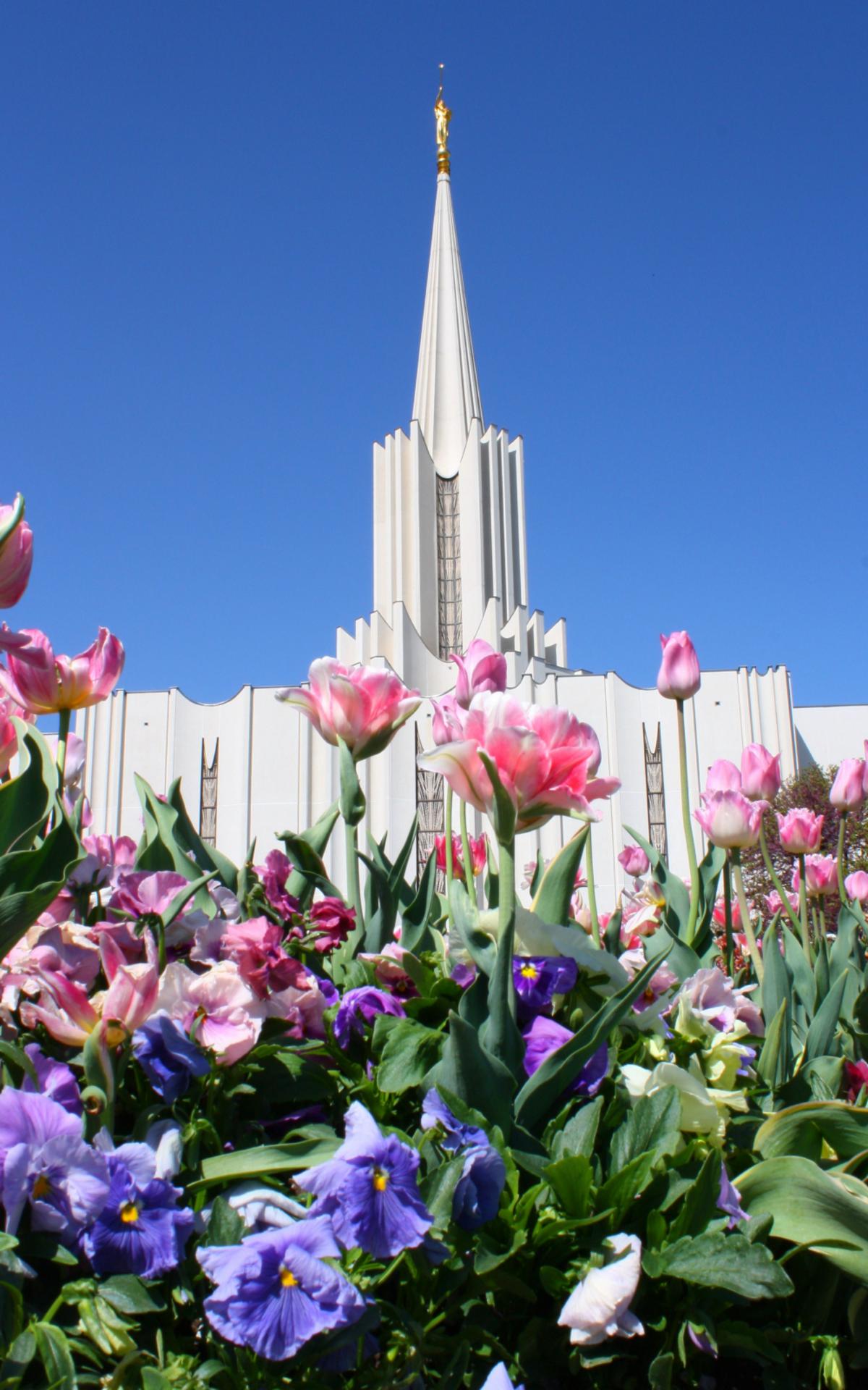 Wide angle of the temple from the east