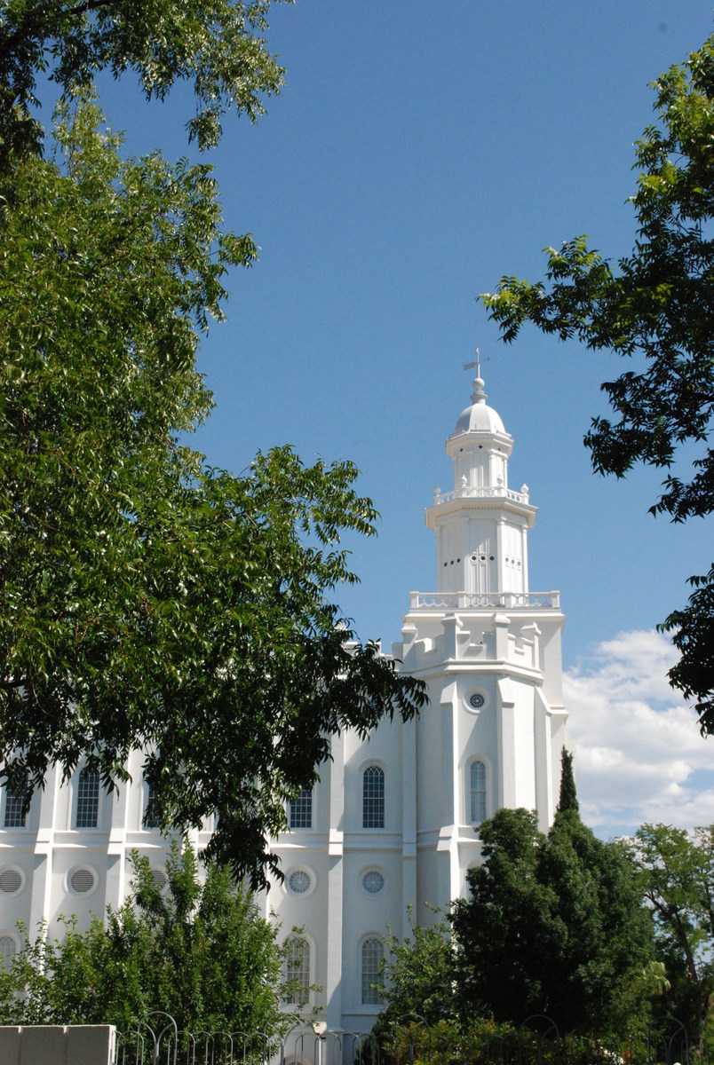 Steeple and tiered architecture through foliage