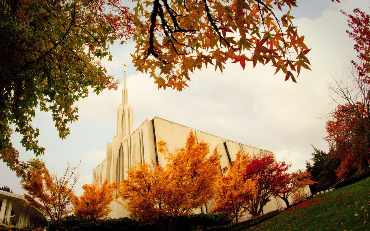 The temple's exterior featuring its unique architectural design.