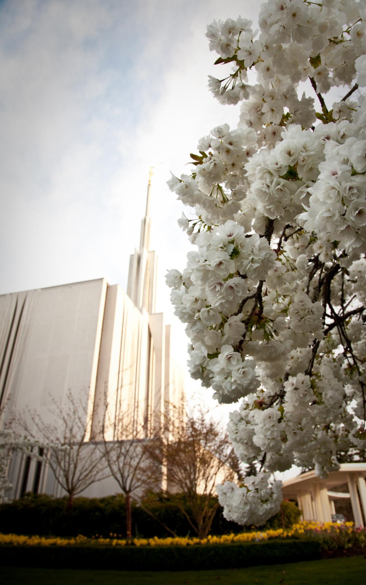 A close-up of the temple's exterior with wheat designs.