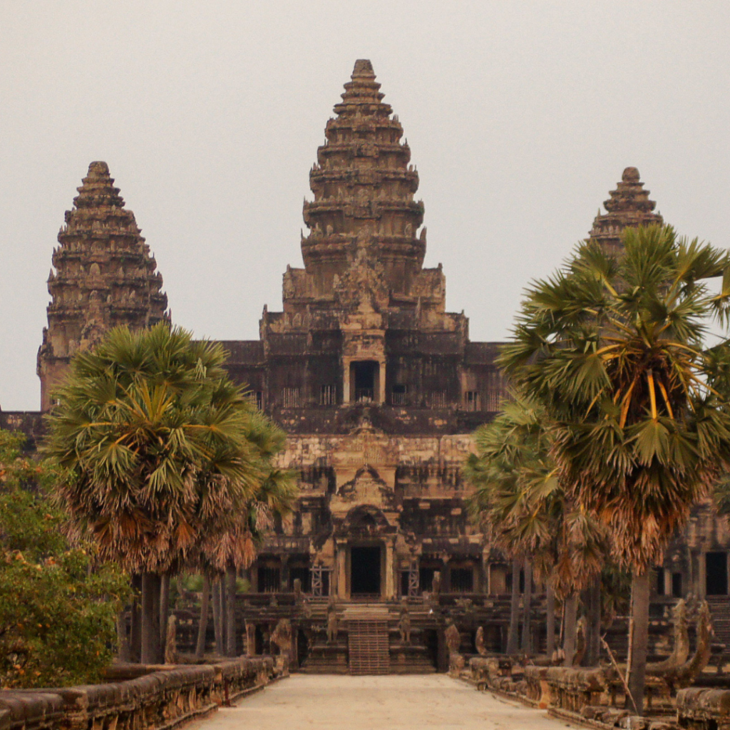 The Agkor Wat Temple at dusk. Palm trees lineup on either side of a sidewalk leading to an entrance.