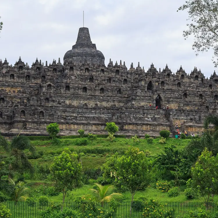 前景中茂密的绿叶环绕着由棕灰色石砖砌成的婆罗浮屠寺庙的底座。