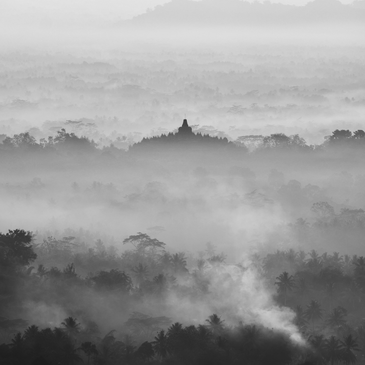 Thick fog streches over the forest around the Borobudur Temple, its white mist making it difficult to see the gigantic, ancient structure in the distance.