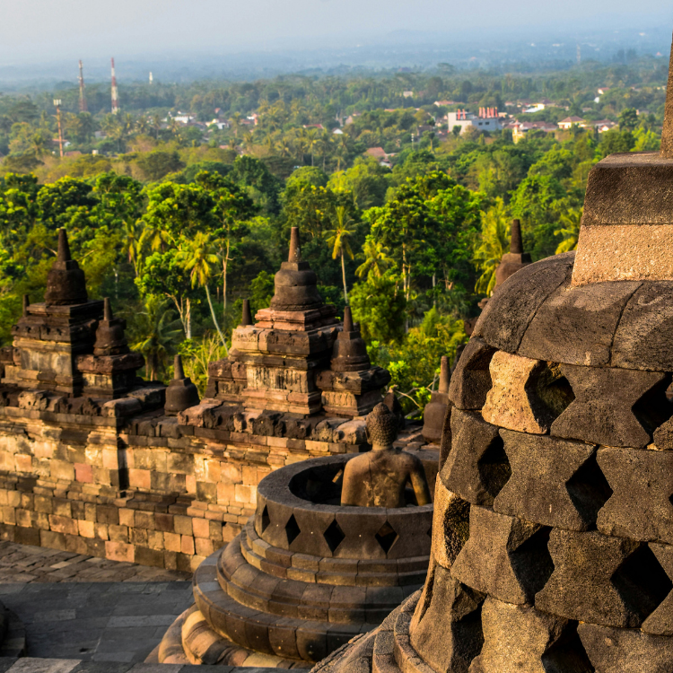 A Buddha statue sits inside a stupa, overlooking a vivid green forest, stretching far into the horizon. A city with white buildings can be seen in the distance, interspersed among the trees.