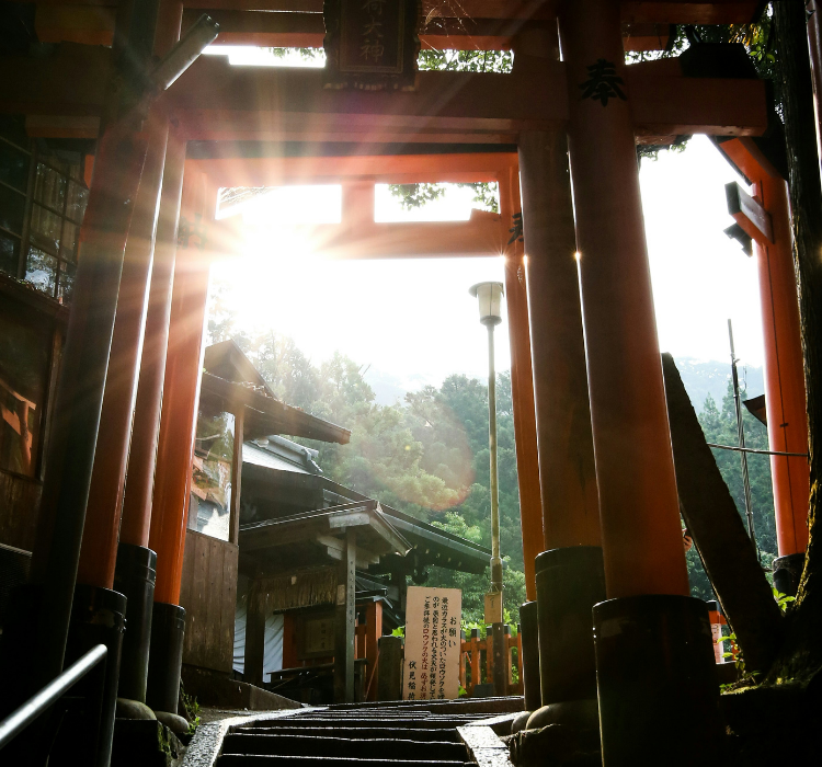 Senbon Torii gates at daybreak, with the sun rays shining through a few torii gates. Tall green trees under a pale blue sky are visible in the background.