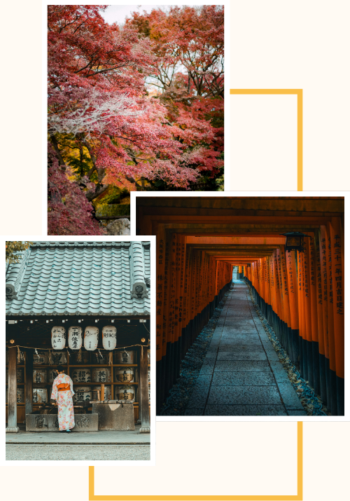 A collage of pink cherry tree leaves, of a woman in a white traditional dress, and a dark gray path surrounded left, right, and above by the series of torii gates.