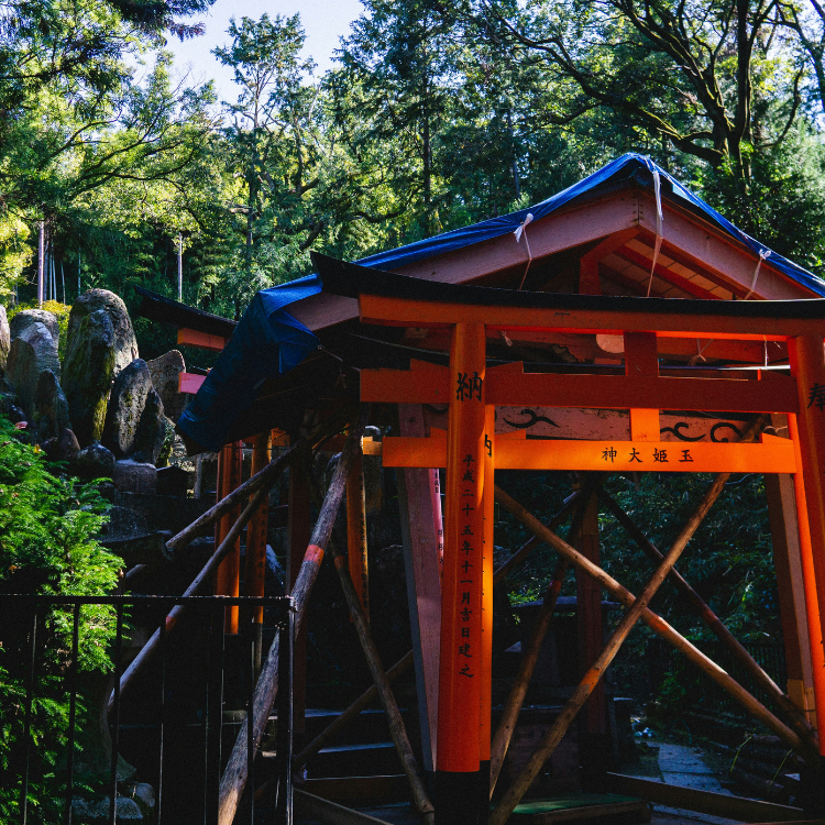 A row of red Torii gates that extend into the back left horizon, each supported by brown support beams is visible in the foreground, with trees visible in the background.