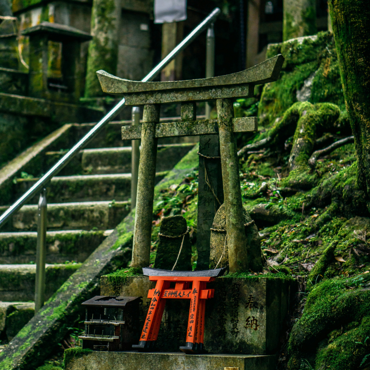 A shrine to a mini mossy stone Torii gate with a small wood red Torii gate at its base. A mossy stone staircase is visible in the background off to the left.